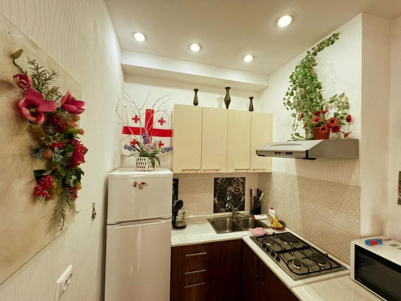 Cozy Apartment In The City Center Mtatsminda Тбілісі Екстер'єр фото